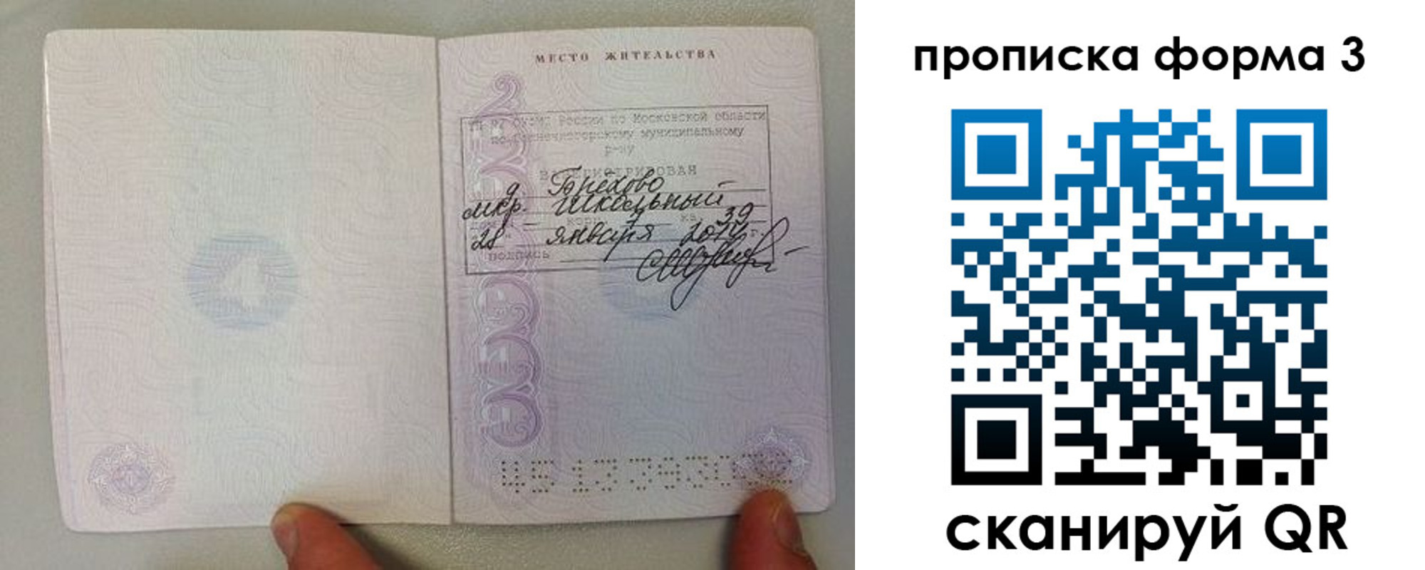 прописка гарантия в Жирновске